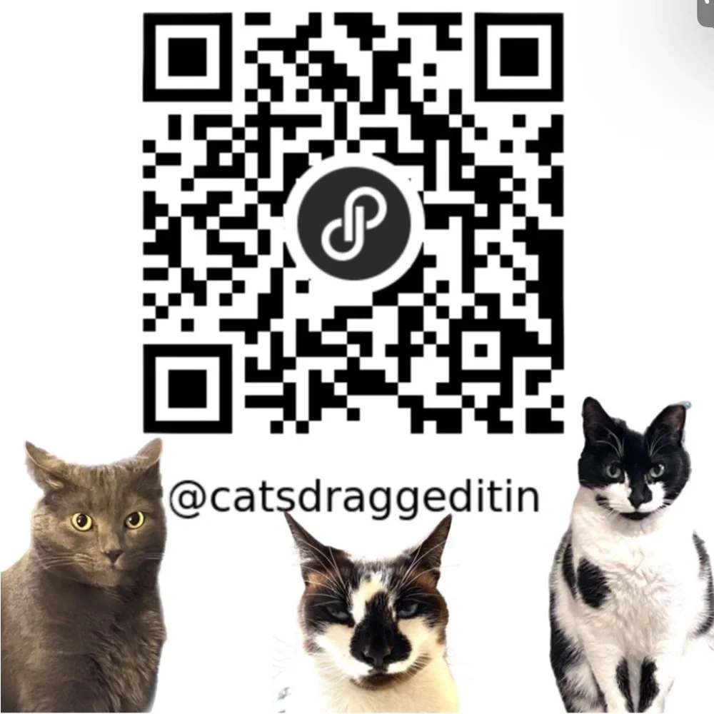 NWT $69 Seven7 | Hollywood | High Rise | Skinny Jeans in Starlight Blue 8 - Picture 15 of 15